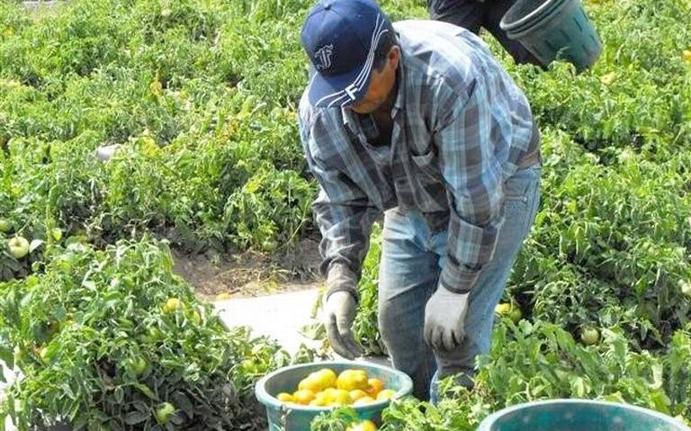 Migrantes: México no nos considera en políticas públicas