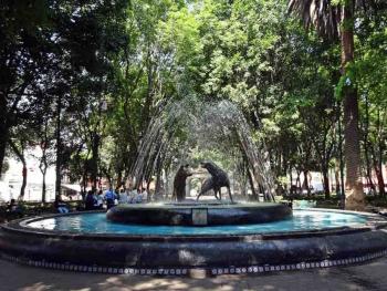 Denuncian peticiones de despensas en Coyoac&aacute;n