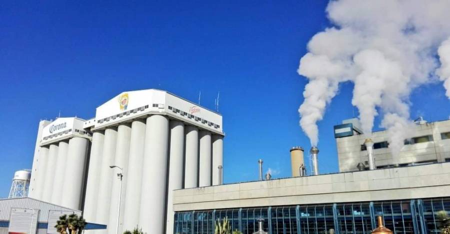 Reactivación económica debió tomar en cuenta industria cervecera