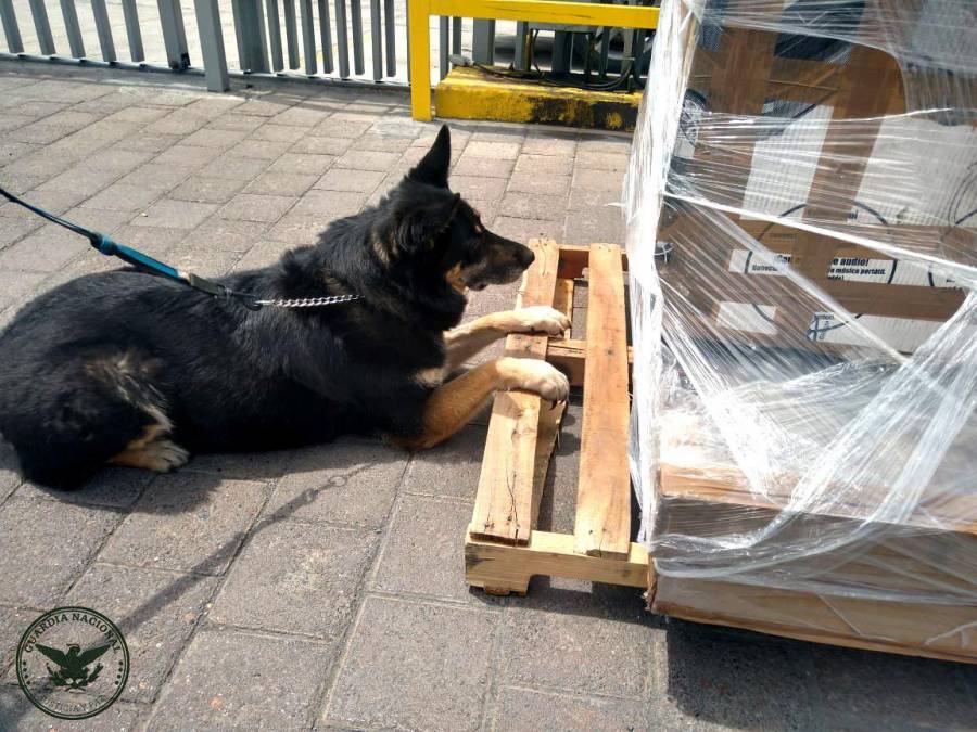 GN encuentra marihuana en una cama para masajes enviada por paquetería