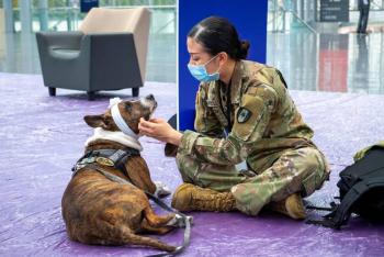Investigar&aacute; Reino Unido si los perros pueden detectar Covid-19
