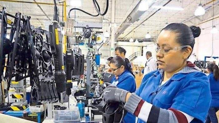 Debido a la reapertura de actividades se harán inspecciones al azar