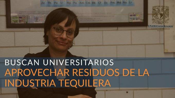 UNAM busca aprovechar residuos de la industria tequilera para obtener fibra dietética y biocombustible