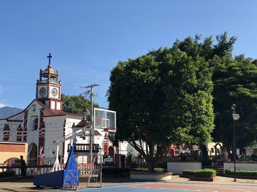 Regresan a actividades 312 “Municipios de la esperanza”