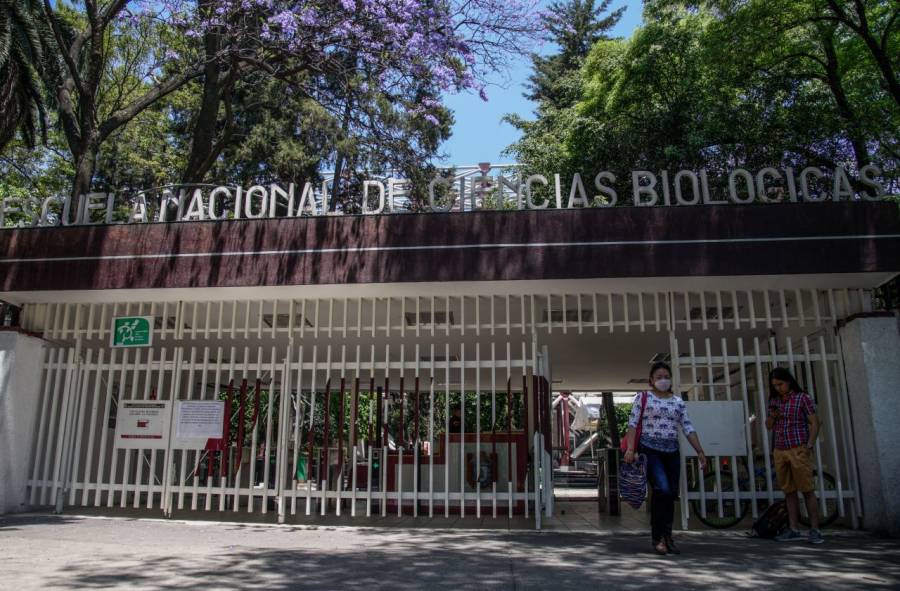 Politécnico anuncia que concluirá semestre en línea