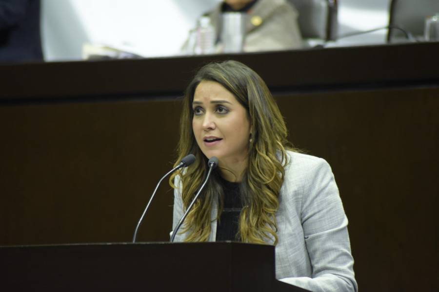 NO PERMITIREMOS MÁS ATROPELLOS LEGISLATIVOS DE MORENA EN MEDIO DE LA PANDEMIA: DIPUTADA ANILÚ INGRAM