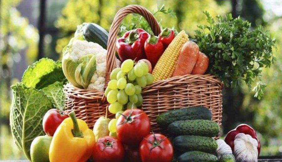 Gobierno Federal emprenderá campaña nutricional