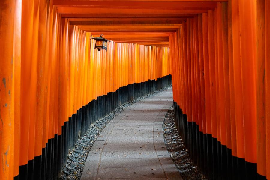Jap&oacute;n anuncia ca&iacute;da de 99.9% del turismo extranjero
