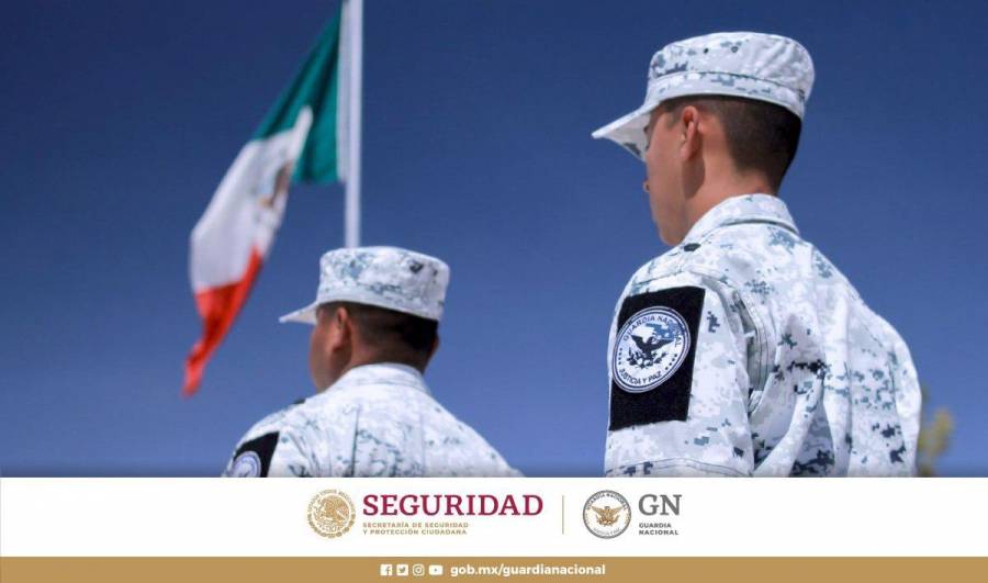 Guardia Nacional asegura 254 kg de marihuana en Coahuila
