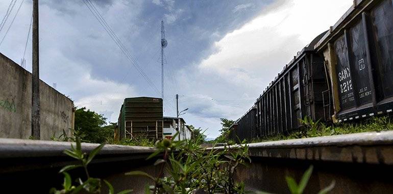 Tribunal federal resolvió que el Tren Maya podrá reanudar con trabajos