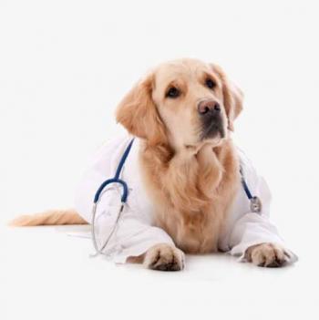 Purina cuidar&aacute; mascotas del personal de salud