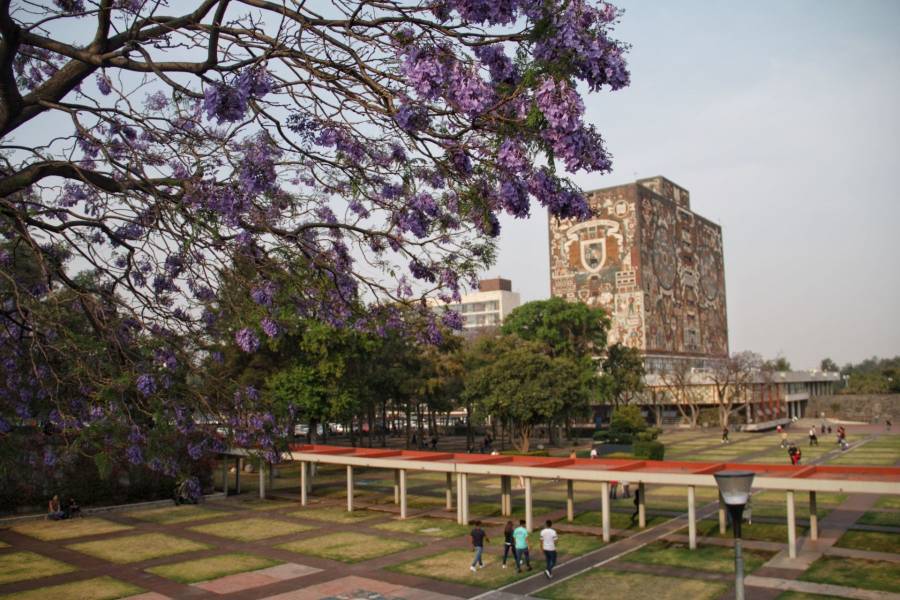 UNAM registra primera titulacion de doctorado a distancia