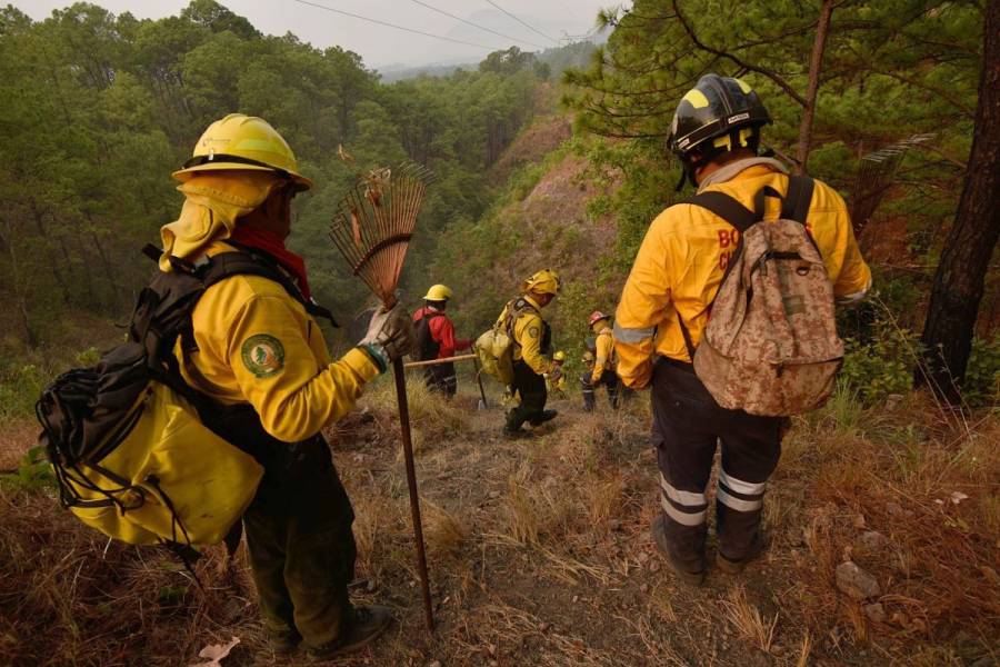 Disminuye el 40% de incendios en el país en lo que va de 2020