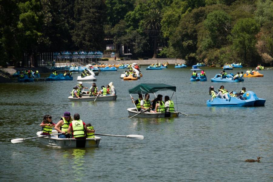 Bosques de Chapultepec, Tlalpan y Aragón reabrirán al 30%