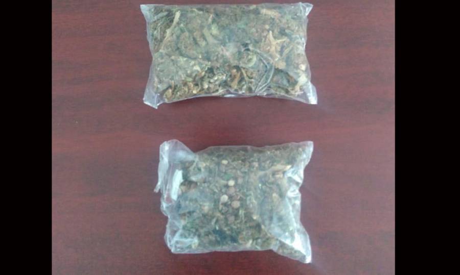 SSC inhabilita punto de venta de presunta droga en Álvaro Obregón