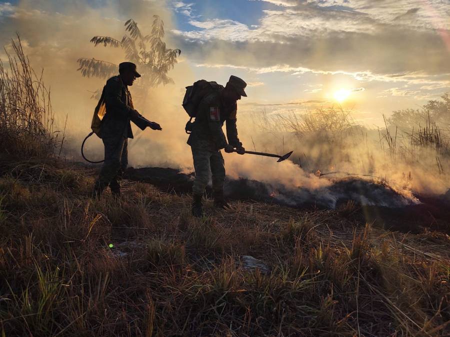 Más de dos mil hectáreas en 11 estados consumidas por el fuego