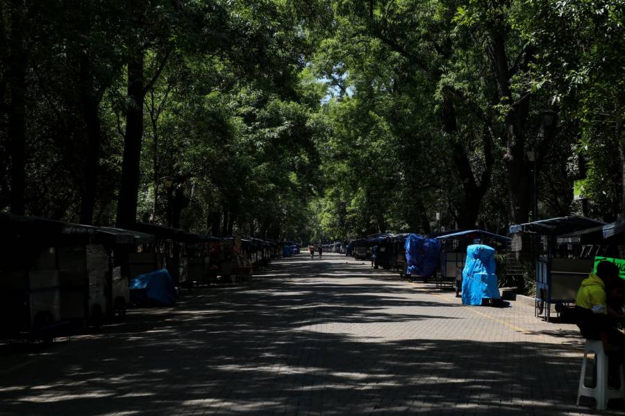 Bosques en la CDMX reabrirán el 2 de junio