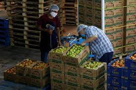 IMSS registra 18 mil empresas para reiniciar actividades