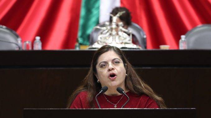 Inaceptable desconocer destino de donaciones: diputada Hortensia Noroña Quezada, GPPRI