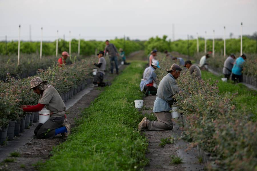 Cae 28.5% remesas a México, hacia otros países se desploman