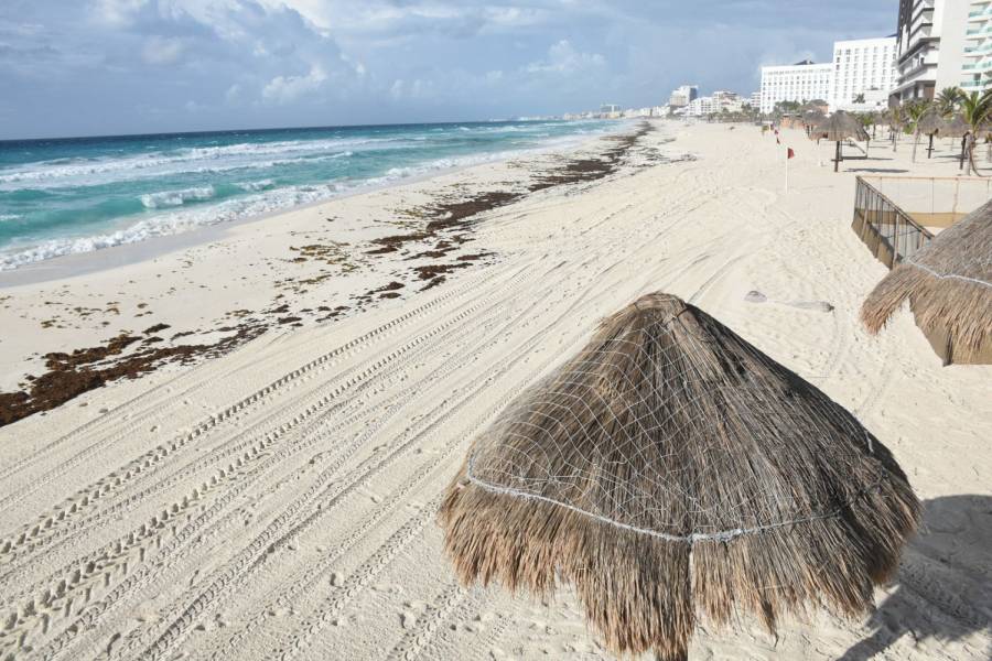 “MUY POCO” SARGAZO EN QUINTANA ROO: SEMAR