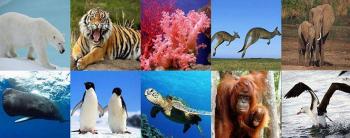 UNAM advierte sobre problemas de extinci&oacute;n