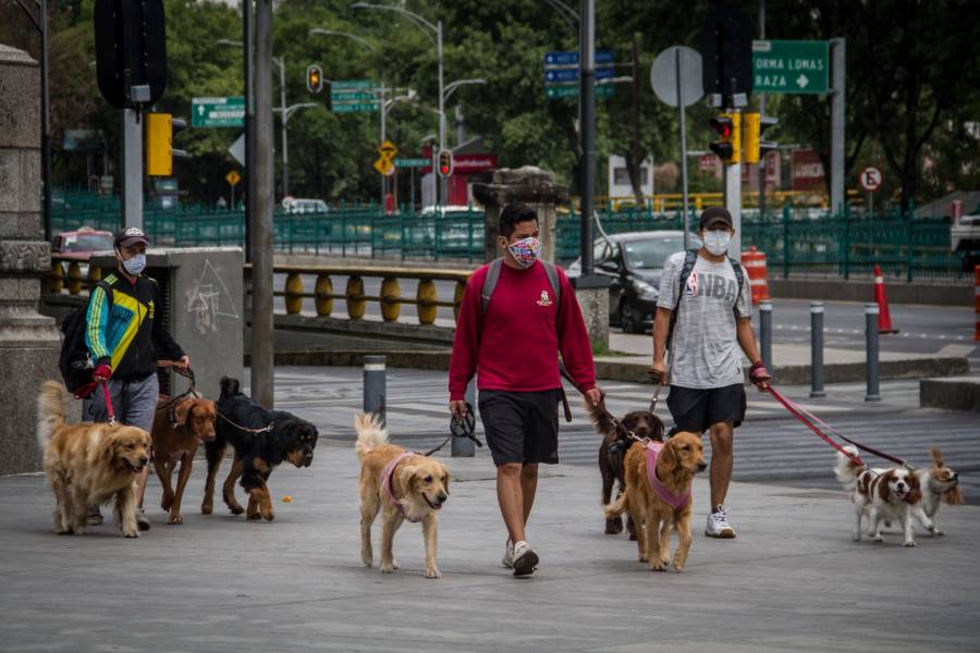 México supera a Canadá en número de casos positivos por Covid-19