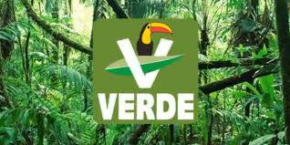 PVEM pide a la Sener priorizar uso de energías renovables 