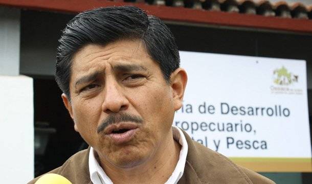Senador Salomón Jara pide juicio político a gobernador de Jalisco por caso Giovanni
