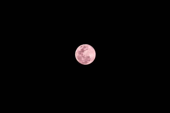 México podría ver la Luna llena rosada y el eclipse lunar