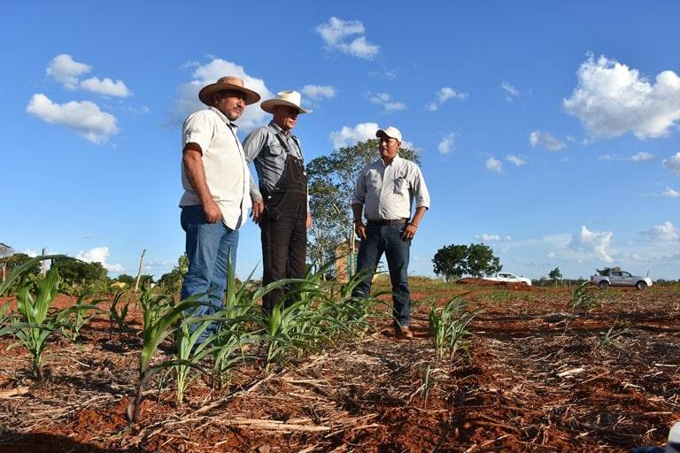 Agricultura se compromete a realizar prácticas sustentables en el campo nacional