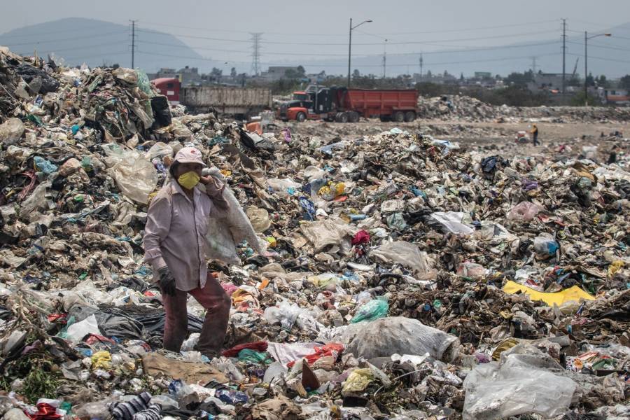 Pide el Partido Verde no relajar cuidado al medio ambiente ante pandemia