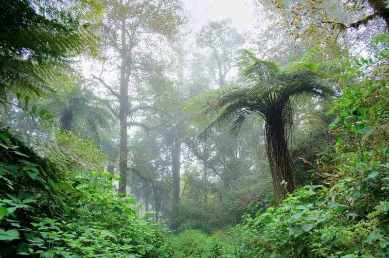 Impulsa Semarnat memorial para defensores ambientales asesinados