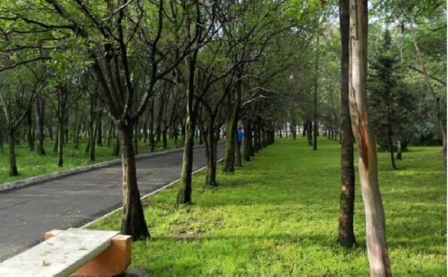 PVEM busca evitar que parque sea prepa