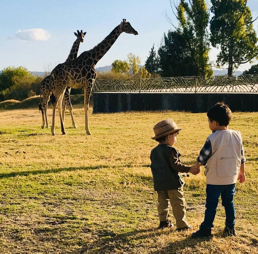 SuKarne apoya con donaciones durante el coronavirus a Zoológicos de la AZCARM
