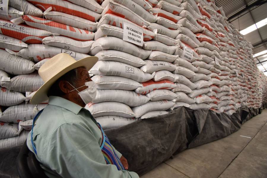 Reporta Agricultura avance del 75.29 % en abasto de fertilizante en Guerrero