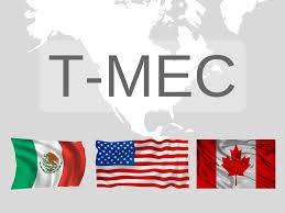En duda, viaje de AMLO a EU por T-MEC