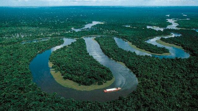 Bolsonaro extiende despliegue de tropas para frenar deforestación de selva amazónica