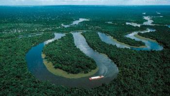 Bolsonaro extiende despliegue de tropas para frenar deforestaci&oacute;n de selva amaz&oacute;nica