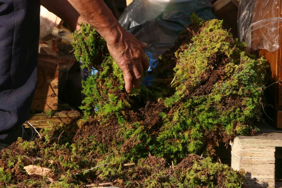 La SEP y SEMARNAT presentan la serie “El Cambio Climático Nos Toca”.
