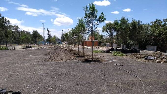 Arranca el programa de reforestación de la CDMX