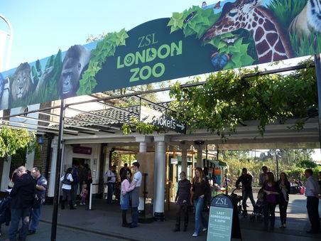 Zoológico de Londres reabre al público tras casi tres meses sin visitas, pero con restricciones