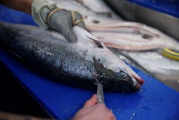China detiene importaciones de salm&oacute;n de Europa ante sospecha v&iacute;nculo con brote COVID-19
