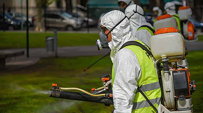 ANTE AUMENTO DE PLAGAS DE CUCARACHAS Y RATAS, PIDEN INCLUIR FUMIGACIÓN COMO ACTIVIDAD ESENCIAL