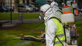 ANTE AUMENTO DE PLAGAS DE CUCARACHAS Y RATAS, PIDEN INCLUIR FUMIGACI&Oacute;N COMO ACTIVIDAD ESENCIAL