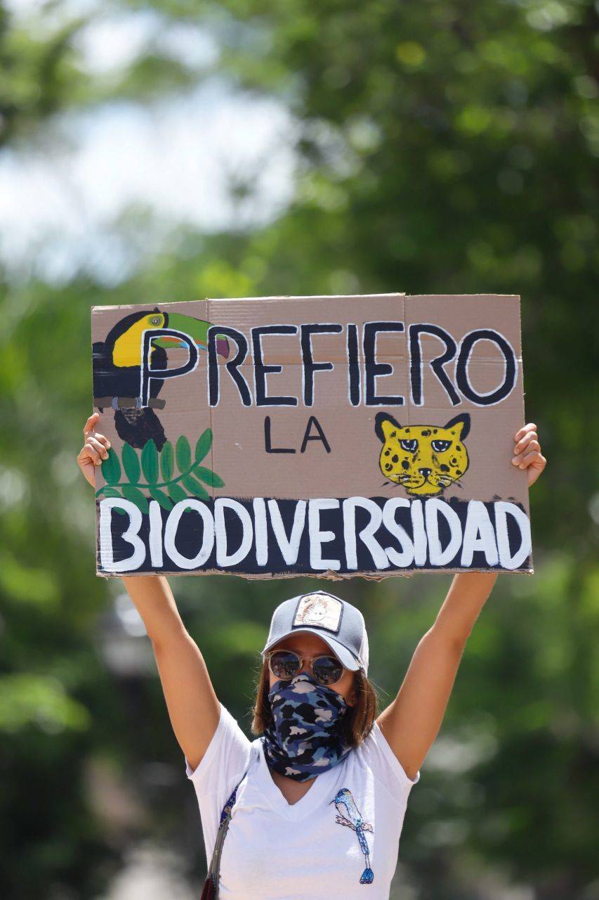 Durante pandemia suspenden Tren Maya