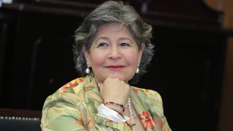 Diputada de Morena llama 