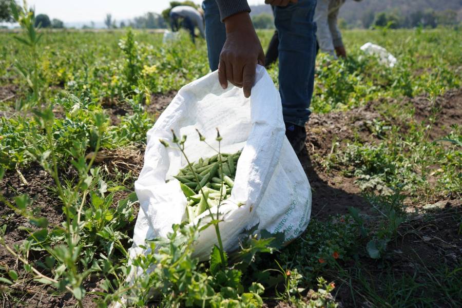 FMI derrumba en 10.5% crecimiento de México