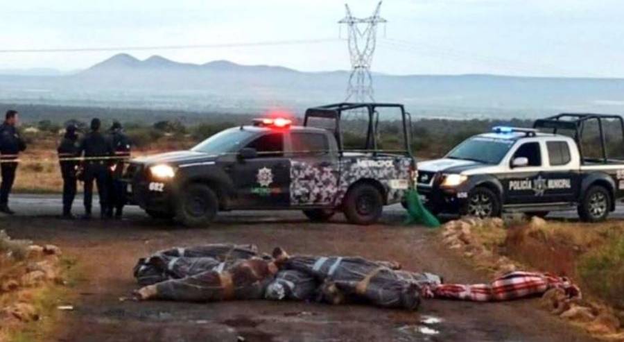 Hallan 15 cadáveres sobre la carretera de Zacatecas a Durango