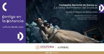 S&aacute;bado de ballet: “La bella durmiente del bosque”